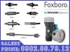 cam-bien-nhiet-do-cam-bien-muc-foxboro-schneider-tai-viet-nam - ảnh nhỏ  1