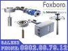 thiet-bi-do-ap-suat-foxboro-schneider-tai-viet-nam - ảnh nhỏ  1