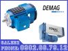 dong-co-giam-toc-demag-tai-viet-nam - ảnh nhỏ  1