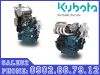 dong-co-kubota-tai-viet-nam - ảnh nhỏ  1